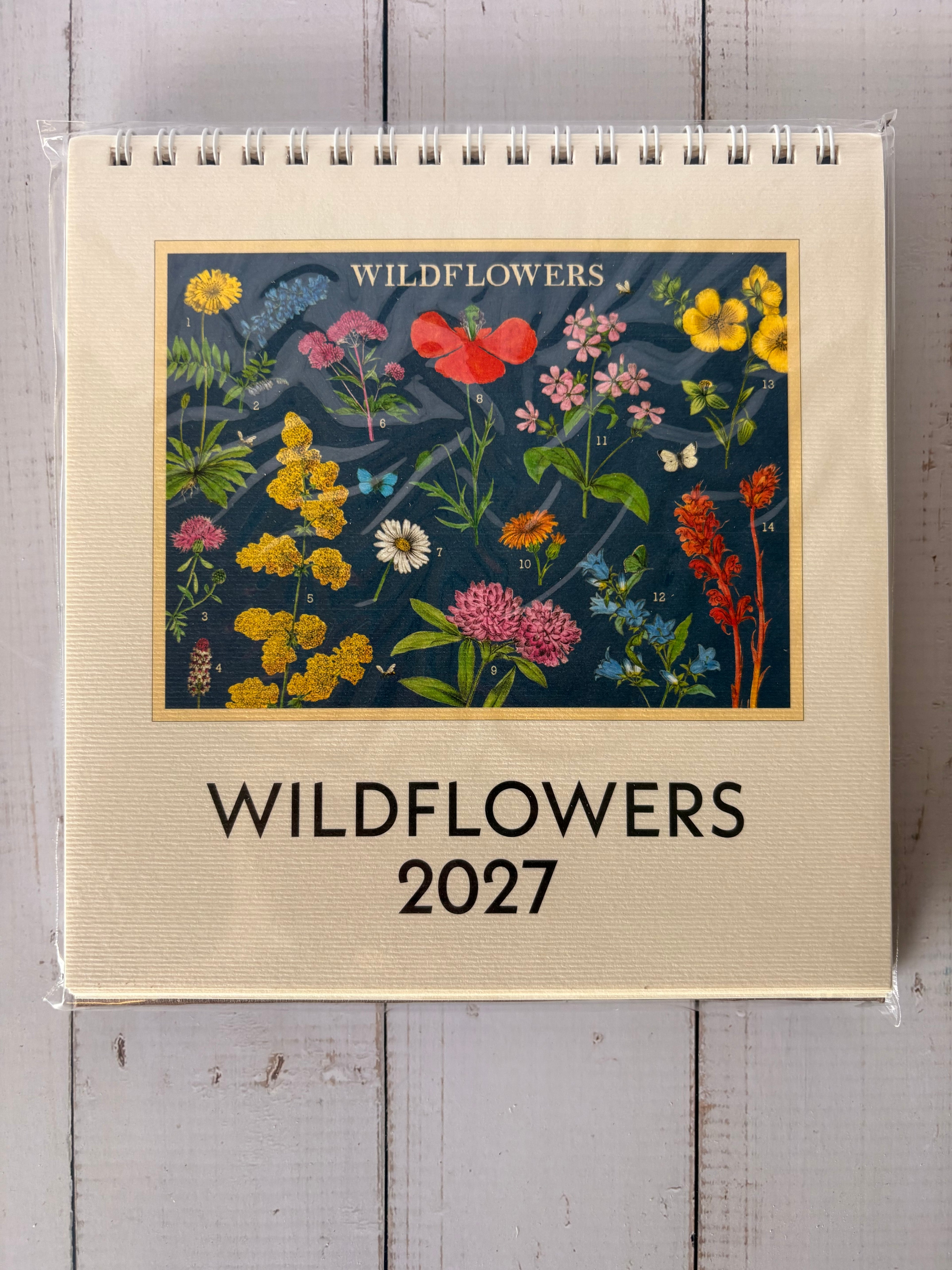 Cavallini 2027 Desk Calendar - Wildflowers
